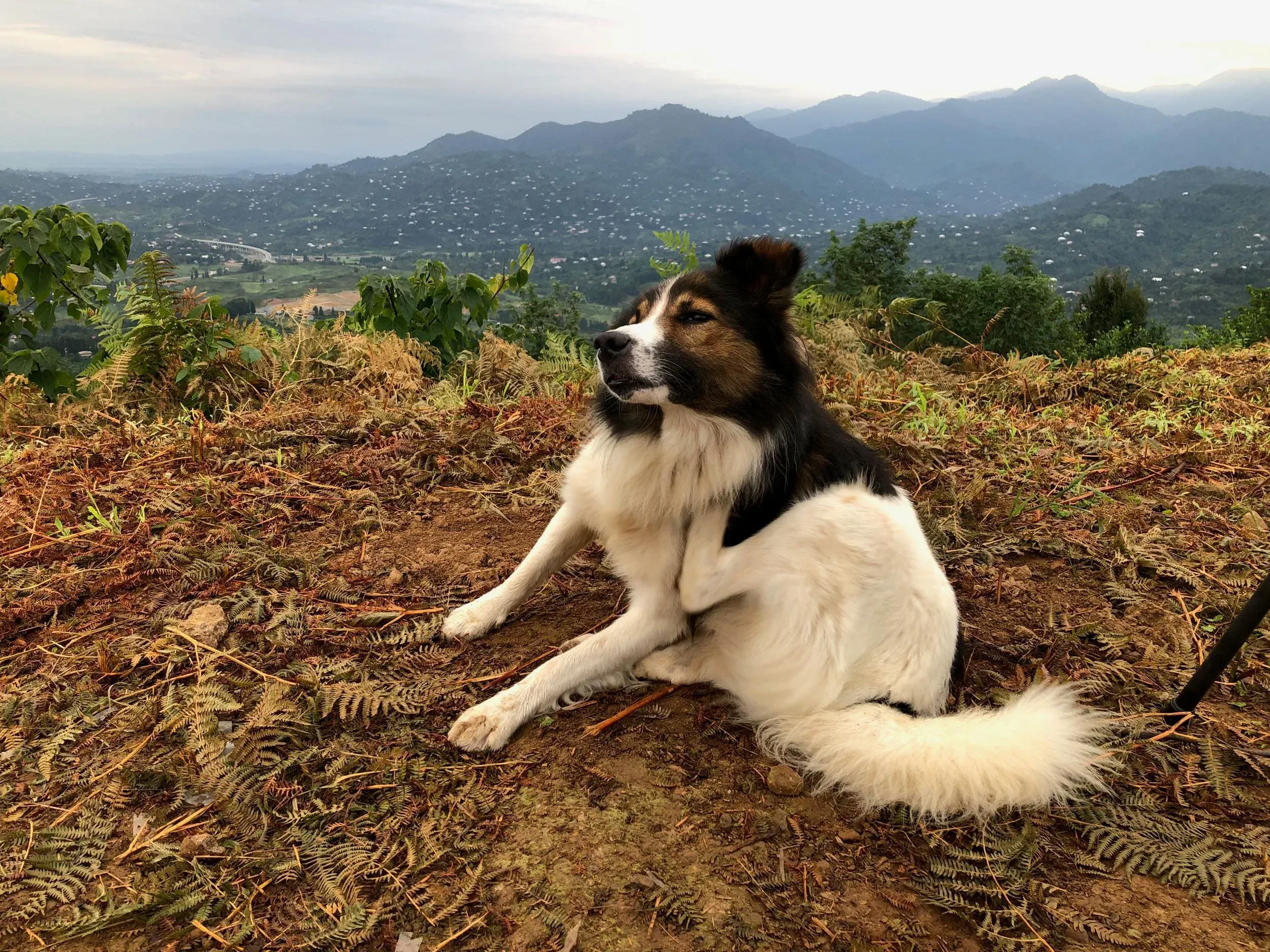August 18th. You are never alone when counting with us. Station dog ‘Perrito’ kept us company in the first weeks.