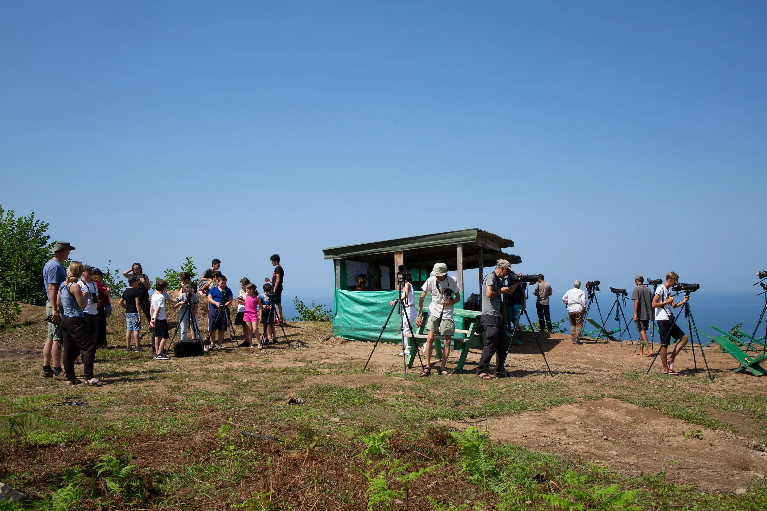 September 6th. With local schools regularly visiting the counting sites, the Batumi Raptor Count is also a platform for environmental education.