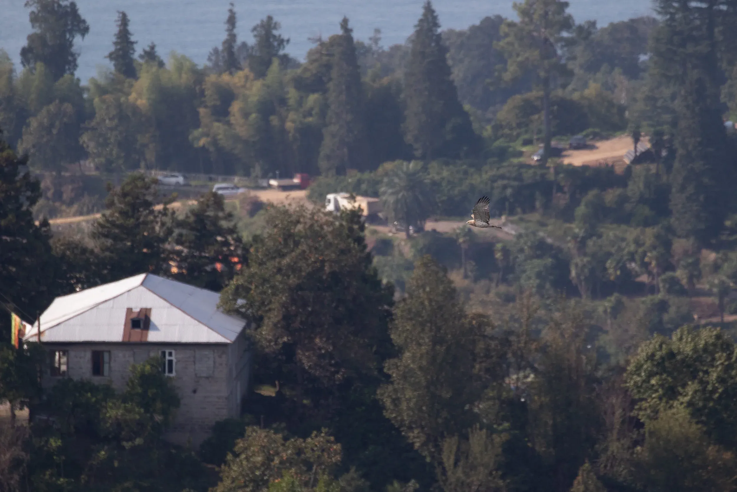 October 11th. Juvenile Short-toed Eagle passing Station 1 low on the westside. A tricky altitude to fly at, with hunters along the ridge during intense migration and inclement weather. This bird made it through fine, though.