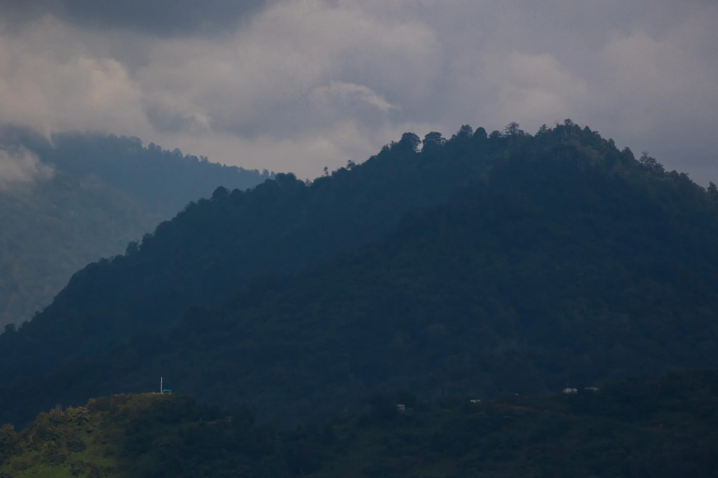 August 27th. All lights out, except at Station 2. Notice the kettle of Honey Buzzards over ‘Little Ginger’ (in the photo above right of Station 2).