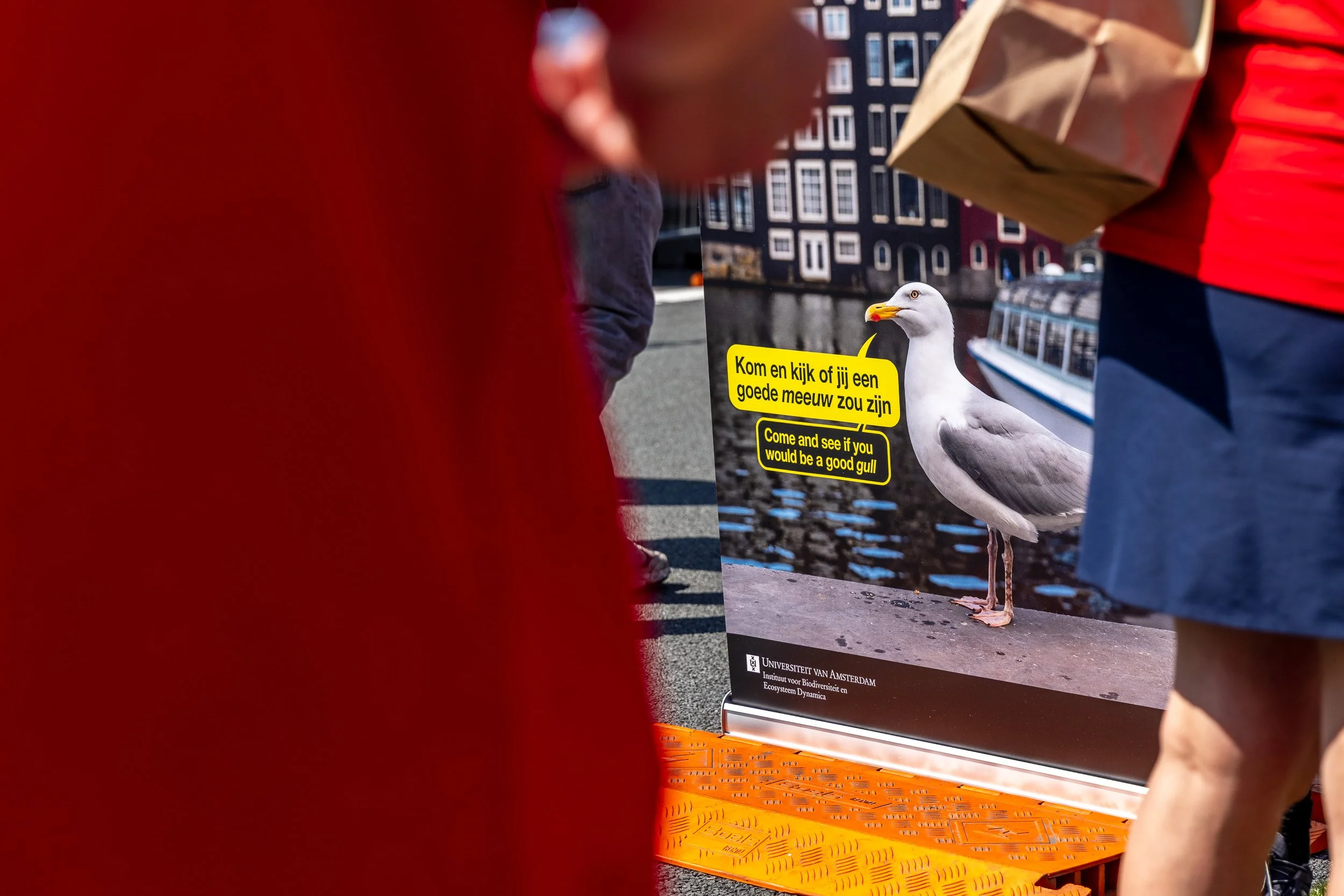 Festival op de Ring event