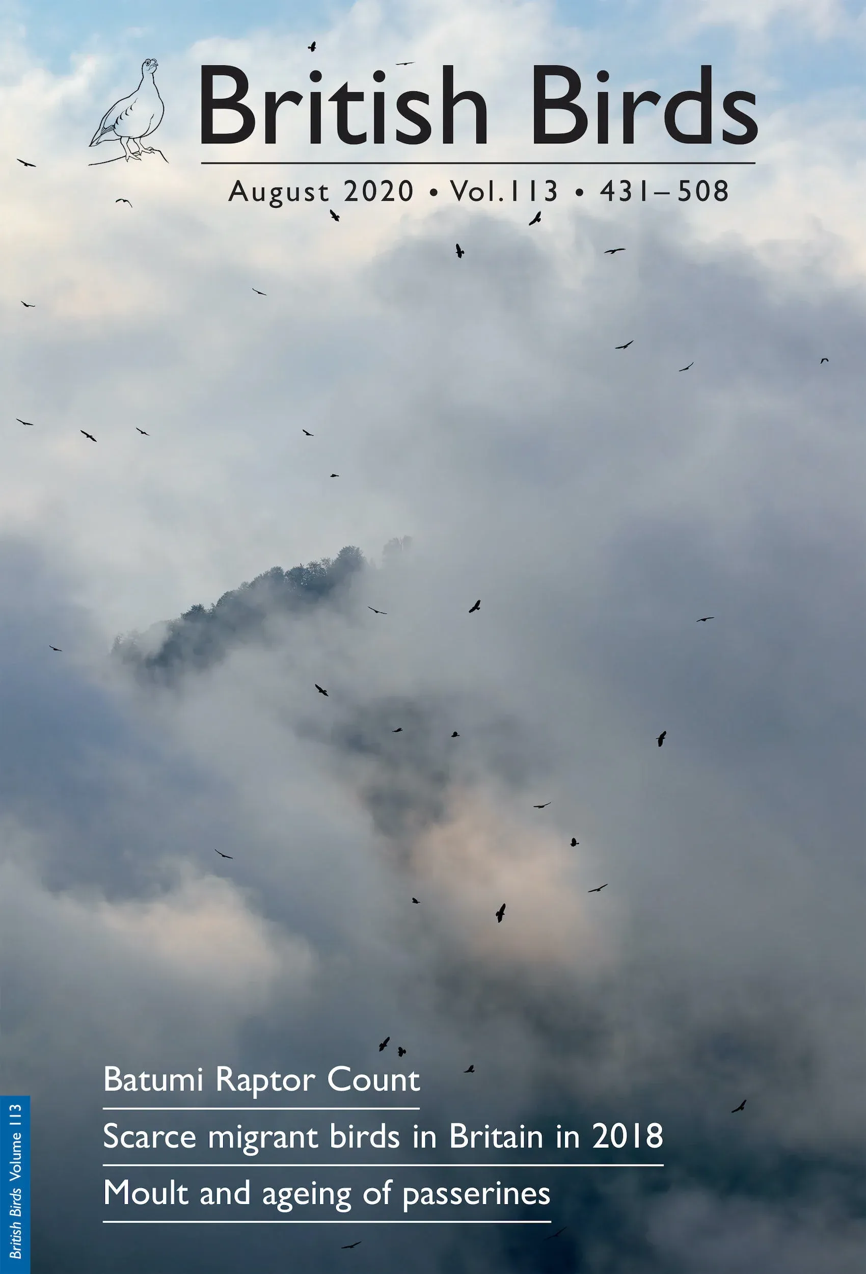 On top of that, my picture of a typical Batumi scene made it to the BB front cover!