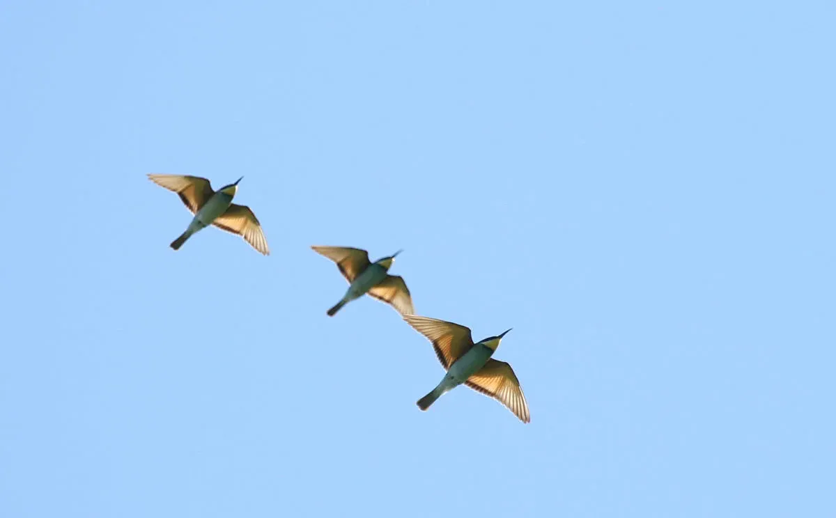 Yeah, you&#x27;ll just have to enjoy those. Photo by Romain Riols.