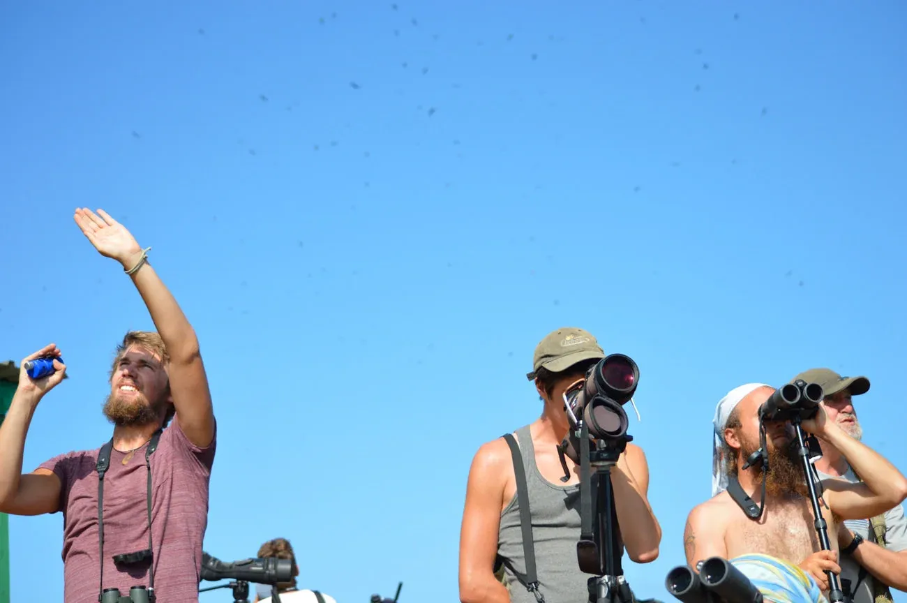 Clicking these clickers, scanning the sky through the binoculars and identifying species by scope. All. Day. Long. Photo by Martha Mutiso.